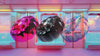 momu: A laboratory solidifying digital dreams into physical specimens. Explore our handcrafted resin art objects and unique archival collections. Free shipping to U.S. & Japan.